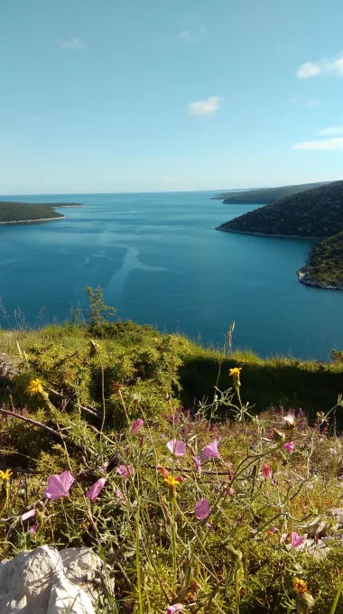 Vjesnici proljeća sa najljepšim pogledom