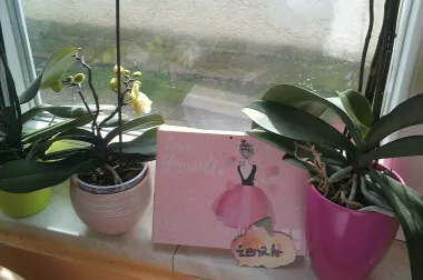 na&scaron;e orhideje i grm visibaba