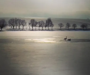 Jezero Jošava