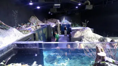 Aquatika