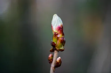 Priroda se budi u Maksimiru (Sandra Šimunović/Pixsell)