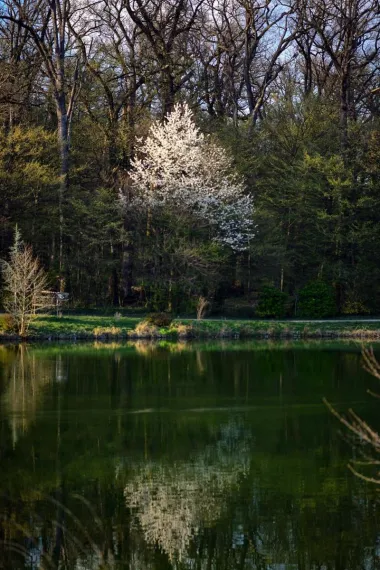 Priroda se budi u Maksimiru (Sandra Šimunović/Pixsell)