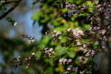 Priroda se budi u Maksimiru (Sandra Šimunović/Pixsell)