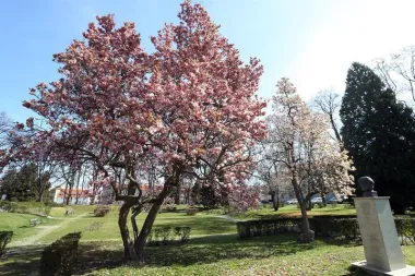 Zagreb (Foto: Kristina Stedul Fabac/PIXSELL)