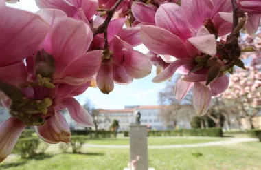 Zagreb (Foto: Kristina Stedul Fabac/PIXSELL)
