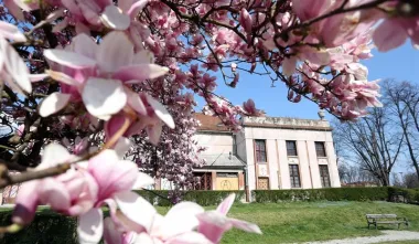 Karlovac (Foto: Kristina Stedul Fabac/PIXSELL)