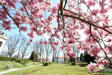 Karlovac (Foto: Kristina Stedul Fabac/PIXSELL)