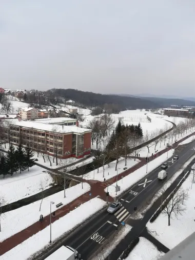 Sesvete pod bijelim pokrivačem