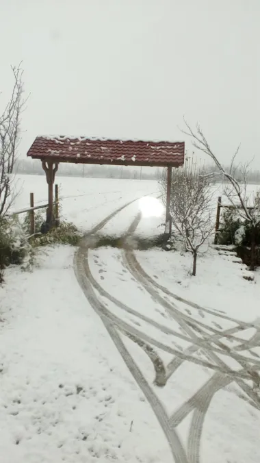 Jedno zimsko jutro u društvu dragih žena sa Žene .