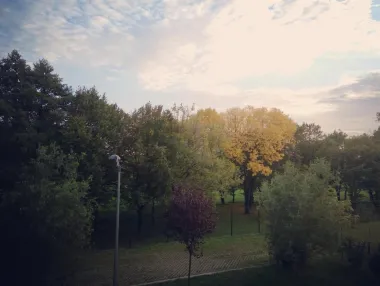 Boje jeseni
