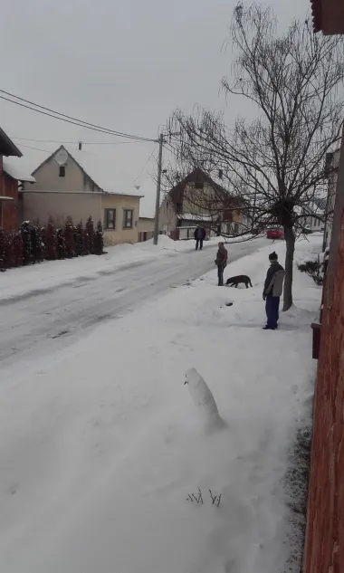 Moje selo napokon ove godine dobilo snijeg.
