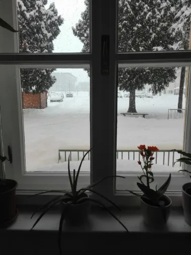 Pogled s mojeg fakulteta