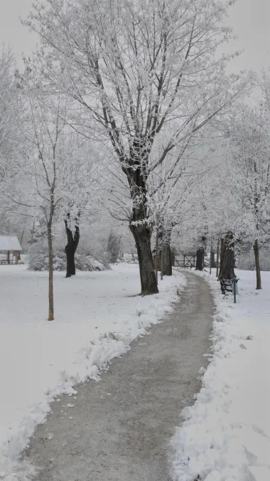 Zima kroz moj prozor