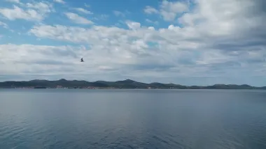 Pogled iz ureda