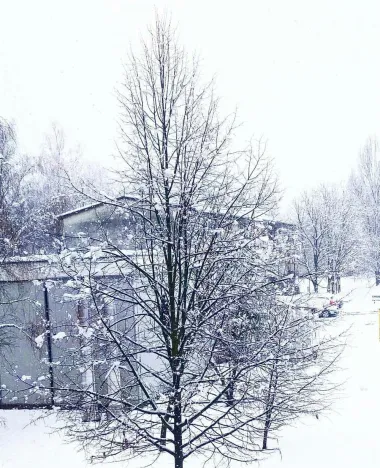 Pogled sa mog prozora u kuhinji