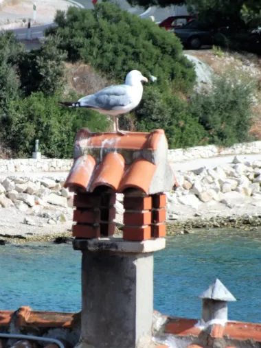 Pogled s prozora