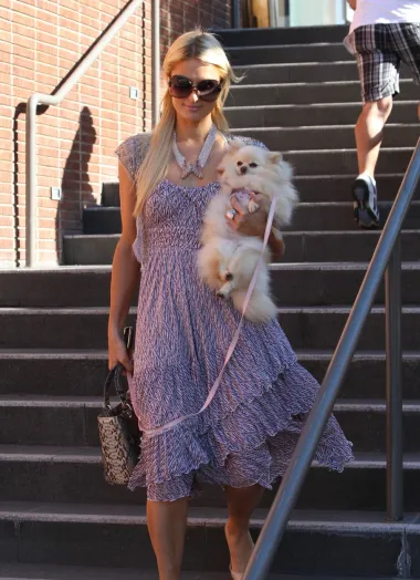 Bogata nasljednica lanca hotela Paris Hilton poznata je ljubiteljica malenih pasmina, a na ovoj se fotki vidi kako svog pomeranca voli nositi na rukama. 