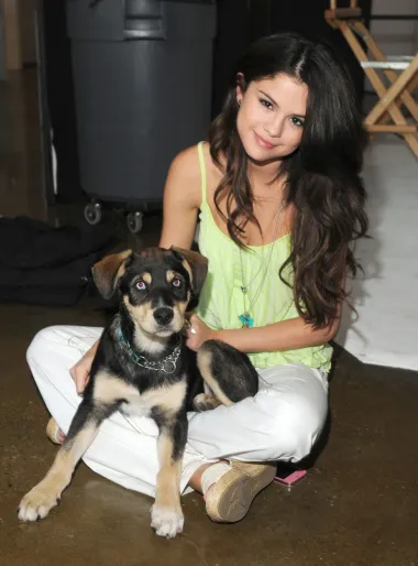 Selena Gomez se zaljubila u psa Baylora kada ga je vidjela na jednoj od američkih stranica za udomljavanje pasa i od tada je ovaj duo nerazdvojan.
