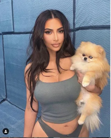 Kim Kardashian još je jedna obožavateljica pomeranaca na ovoj listi. Ovu je fotku snimila i objavila na vlastitom Instagramu, a svu pažnju ukrao je njezin čupavi psić. 