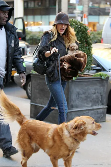 Holivudska ljepotica, glumica i majka tri kćeri, Blake Lively, voli se opustiti u šetnji sa svojim kućnim ljubimcima - zlatnim retriverom i minijaturnom pudlicom. 