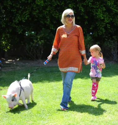 Glumica Tori Spelling ima nešto neobičnijeg kućnig ljubimca - malenu svinjicu Hanka. Hank je navodno jako inteligentan te je privržen obitelji, a djeca se s njim obožavaju igrati. 