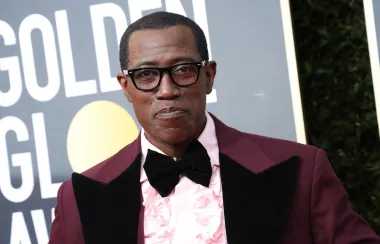 Ranih devedesetih Wesley Snipes bio je jedan od najvećih glumaca u Hollywoodu, a uloge u poznatim filmovima učinile su ga jednom od najbolje plaćenih i najpopularnijih zvijezda. Njegove su nevolje započele nakon što je pravomoćno osuđen zbog toga što nije podnio prijavu poreza na dohodak, zbog čega je &quot;odležao&quot; u saveznom zatvoru zbog porezne prijevare. Osim toga, bankrotirao je i zbog raskošne potrošnje.