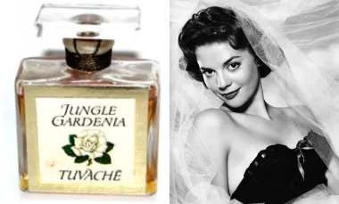 Vječna obožavateljica delikatne i romantične gardenije, Natalie Wood je nosila Jungle Gardenia - parfem koji je poznat kao &quot;najegzotičniji miris na svijetu&quot;. Originalan parfem sadržavao je note gorke naranče, tuberoze i biljke bradavke.
