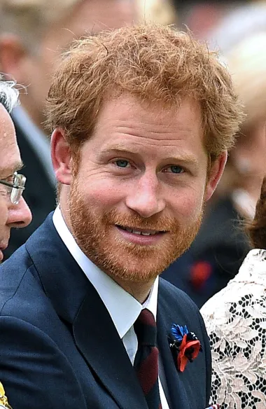 Danas se Harry bavi svojom malenom obitelji, ali je pokrenuo i udrugu kojoj je cilj promicanje psihičkog zdravlja. Njegova Meghan piše slikovnice, ali posuđuje glas i u crtićima, no čini se kako par za sada nema neki stalni izvor prihoda - osim njegova nasljedstva koje je dobio od majke i Meghaninog bogatstva koje je stekla kao glumica.  Nedavno je Meghan pokrenula i vlastiti podcast, no zasad govora o povratku glumi nema. Tko, zna, možda će se ona vratiti holivudskim vodama, a on postati kalifornijski princ s crvenih tepiha?