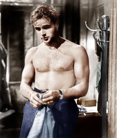 Marlon Brando, najzločestiji dečko Hollywooda svih vremena, američki glumac, dvostruki dobitnik Oscara i jedan od najutjecajnijih glumaca dvadesetog stoljeća do danas nosi titulu velikog seksi zavodnika. Brando je najpoznatiji po svojim ulogama u filmovima „Tramvaj zvan čežnja“ i „Na dokovima New Yorka“ koje je režirao Elia Kazan početkom pedesetih te svojim izvedbama u „Kumu“. Američki filmski institut proglasio ga je četvrtom najvećom muškom filmskom zvijezdom svih vremena, a njegov šarm i macho duh ne blijede ni danas. 