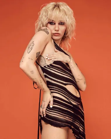Pjevačica i glumica Miley Cyrus karijeru je započela kao miljenica publike Disney kanala. Proslavila se svojom ulogom slatkice Hannah Montane no kasnije je priznala kako se cijelo vrijeme snimanja tog showa osjećala loše u vezi same sebe. Izjavila je tako da se od tinejdžerica u Hollywoodu očekuje samo jedno - da budu plavuše, zgodne i pomalo glupe, a da ona nikada nije željela ostavljati takav dojam. Tako je s godinama izgradila svoj prepoznatljivi edgy stil te počela šokirati javnost svojim izjavama o seksu, skandaloznim vezama sa ženama i muškarcima, a danas ju se općenito smatra jednom od &quot;divljih&quot; zvijezda Hollywooda. 