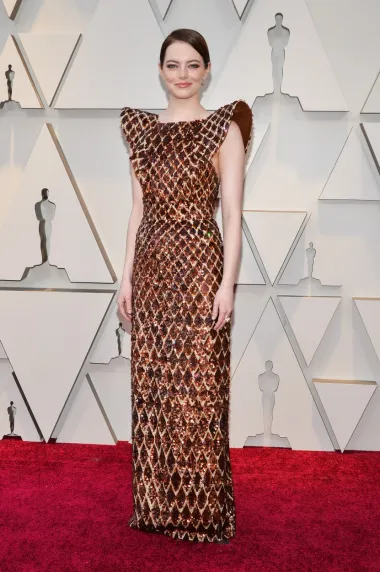 Za dodjelu Oscara 2019. godine, Emma je izabrala Louis Vuitton brončanu haljinu sa šljokicama s dramatičnim statement ramenima. Cijeli chic izgled završila je elegantnom punđom.