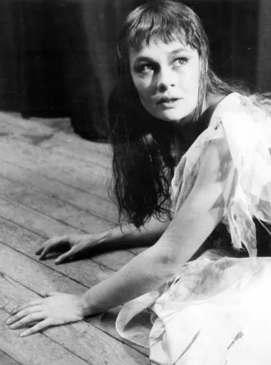 Judi Dench rođena je u malom britanskom mjestašcu 1934. godine u radničkoj obitelji, a po njezinom djetinjstvu se nije moglo pretpostaviti da će ona postati jedna od najvećih glumica svih vremena. No, kako joj je majka bila garderobijerka u malom lokalnom kazalištu u Yorku, Judi je od malena imala doticaj s teatrom te se rano zaljubila u svjetla pozornice. Tako je kao tinejdžerka počela i sama glumiti i raditi u garderobi u lokalnom kazalištu, a uskoro se zaputila i u London gdje je upisala dramsku akademiju. S obzirom da nije bila tipična ljepotica, njezini joj profesori isprva nisu pridavali puno šanse. No, Judi je svakom svojom novom izvedbom ponovno i ponovno dokazivala kako se radi o golemom glumačkom talentu koji samo čeka da ga otkrije i ostatak svijeta. 