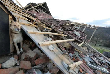 Nakon razarajućeg potresa koji se dogodio krajem 2020., fotografije su preplavile društvene mreže, a jedna od njih je i ova fotografija psa koji je vjerno ostao uz ruševine kuće u Novom Selu Glinskom.