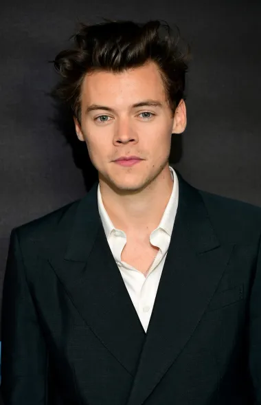 Harry Styles očarao je svijet svojim glasom još u bendu &quot;One Direction&quot;, a danas ima uspješnu solo karijeru i mnoge megahitove iza sebe. Rođen je 1. veljače 1994. i toliko je ponosan na svoj horoskopski znak da čak ima i tetovažu Vodenjaka. Do nedavno je bio u vezi s glumicom Olivijom Wilde, a iza njega su mnogi privatni i poslovni uspjesi – postao je prvi muškarac na naslovnici američkog Voguea, njegova glazbena karijera izgleda bolje nego ikad, a probija se i u svijetu filma. Uz sve to, Harryja se smatra i modnom ikonom. 