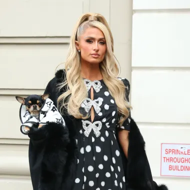 Paris Hilton je bila &apos;IT&apos; djevojka ranih 2000-ih, a kao bogata nasljednica plijenila je pažnju javnosti gdje god bi pošla. Ipak, ono što joj je obilježilo početak života i uspona na show business sceni definitivno je bio njezin kućni snimak seksa. Njezin video izašao je 2004., a objavio ga je njezin bivši dečko Rick Solomon. &quot;Voliš nekoga, vjeruješ nekome i onda te on iznevjeri, i to tako da te cijeli svijet vidi i smije ti se. Još više me boljelo to što su ljudi mislili da sam filmić namjerno objavila, to me ubilo&quot; prisjetila se Paris u jednom intervjuu. Nakon curenja sporne vrpce 2004., Paris je javno rekla da nije odobrila njezino objavljivanje, nakon čega ju je Solomon optužio za klevetu. Ona ga je potom protutužila, a godinu kasnije su se nagodili, no izvan sudskog procesa.