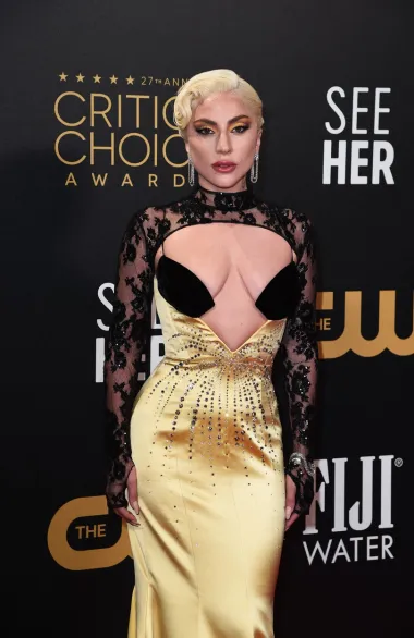 Treba li ovu damu uopće i predstavljati? Lady Gaga definitivno je legenda zabavljačke industrije 21. stoljeća. Vrsna glumica, pjevačica i skladateljica, Lady Gaga uspjela je stvoriti pravo carstvo iz ničega. Na faksu su joj se rugali kako nikada neće biti slavna, a danas je ponosna vlasnica brojnih Grammyja i jednog Oscara. Impresivno, zar ne? S obzirom da će uskoro proslaviti 37. rođendan, vjerujemo kako ćemo ju još desetljećima pratiti na sceni. 