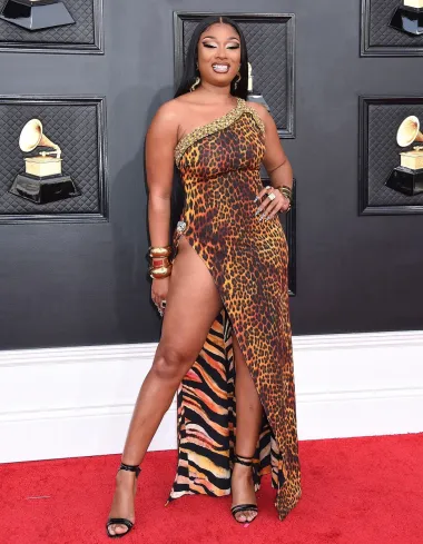 Za ovaj outfit je teško pronaći riječi jer je za neke odličan, a za druge vrlo loš izbor. Megan Thee Stallion odlučila se za haljinu modne kuće Roberto Cavalli. Snažan print, istaknute obline i raskošna šminka istaknuli su samouvjerenost ove pjevačice, a Giuseppe Zanotti cipele zaokružile look.