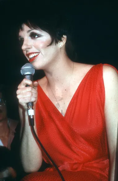 &quot;Samo&quot; 4 supruga naredala je legendarna Liza Minelli. Bila je udana za pjevača koji je na kraju otkrio da jer gay, producenta, kipara i promotora glazbenih koncerata. Iako je ljubila još i Martina Scorsesea i Petera Sellersa, s niti jednim nije uspjela dobiti dijete iako je to žarko željela. Cijelog je života patila i borila se s alkoholizmom te ovisnošću o tabletama za spavanje, a navodno su njezini izljevi bijesa kada bi se napila i bili okidači svake njezine rastave. 