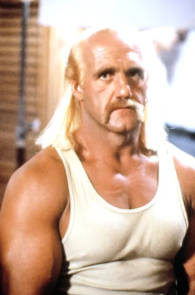 Terry Bollea poznatiji kao Hulk Hogan našao se u središtu seks skandala nakon što je web stranica Gawker 2011. godine objavila dio njegovog porno filma. Snimka seksa nastala je 2006. godine, a javnost je za nju saznala nakon što je stranica Gawker objavila tek mali dio. Hulk je suprugu prevario sa ženom svog najboljeg prijatelja DJ-a Bubbea. Iako nije nikoga zlostavljao niti je bio optužen za pedofiliju, Hoganu su sponzori okrenuli leđa, a žena mu je brakorazvodnom parnicom uzela 70 posto svog njegova bogatstva. „Želim da svijet zna što mislim o čovjeku kojem sam dala sve. Dala sam mu sve što sam imala, bila sam iskrena i nikada ga nisam prevarila. On je jednim potezom uništio 25 godina braka, našu obitelj, blagdane, vjenčanja i živote naše djece. Uvijek je sve uzimao zdravo za gotovo i nikada nije cijenio divnu obitelj koju smo imali&apos;, rekla je Linda Hogan. Nakon ovog skandala, Hogan se sve rijeđe počep pojavljivati u javnosti, a danas kada ima 68 godina ga se sve manji i manji broj ljudi sjeća kao velike zvijezde. 