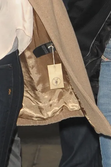 Britney je 2013. imala jednaku situaciju kao i Jessica 2014. samo što je njezina etiketa bila u bež boji pa je donekle išla na zlatnu podstavu kaputića. 