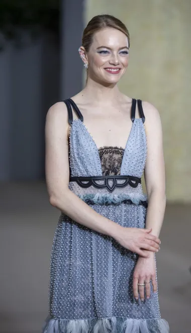33-godišnja glumica Emma Stone za gala večeru odabrala je komplet Louisa Vuittona. Kombinacija blijedo plave boje i djelić crne čipke na prsima čini kombinaciju koju ne viđamo svakodnevno. Stone je sve uklopila s crnim tajicama s uzorkom i štiklama s manjom petom.