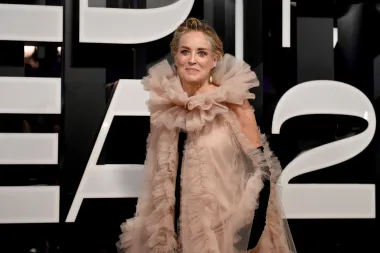 Američka filmska glumica i bivši model Sharon Stone napunit će 65 ove godine, i to 10. ožujka. Glumica je to koja je slavu stekla početkom devedesetih ulogama u erotskim trilerima &quot;Sirove strasti&quot; i &quot;Sliver&quot;, a danas izgleda nevjerojatno dobro i teško bismo uopće pretpostavili da će uskoro navršiti 65 godina.