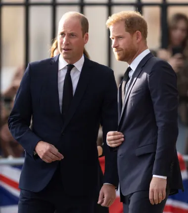 Najpoznatiji prinčevi na svijetu, William i Harry, izgledaju potpuno drugačije, a jedina sličnost koju dijele su plave oči. William je od Harryja stariji dvije godine, a toliko su različiti da mnogi ljudi sumnjaju da imaju istog oca, no to su samo glasine. Osim toga, njihova je sličnost još više izražena sada kada princ William nema toliko kose.