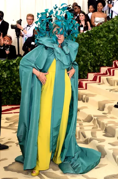 Iako su neki modni kritičari pohvalili look slavne glumice i dobitnice Oscara na Met Gali 2018. godine, njezina je kombinacija ipak zbunila mnoge jer je na glavi nosila neobičan šešir koji joj je prekrio lice. 