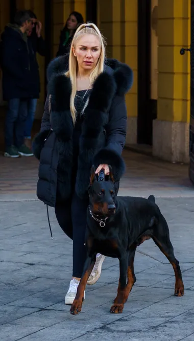 Zagrebačka špica u znaku mimoza i osmijeha, a Zagrepčanke nikad elegantnije