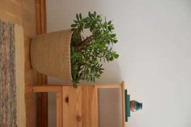Nova kreativna imena na sedmom izdanju InDizajn sajma