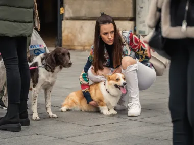Zagrebačka špica bila je prepuna lijepih dama, ali i preslatkih pasa
