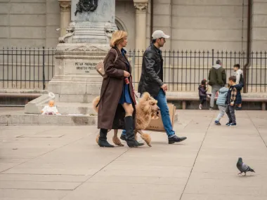 Jesu li ovo najslađe fotografije sa špice proteklih godina?