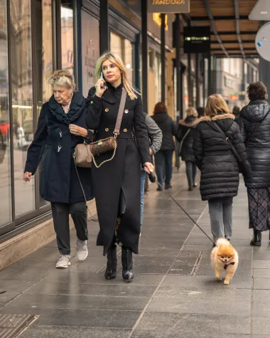 Zagrebačka špica u 67 fotografija: Elegantne dame, psići i zagasiti outfiti