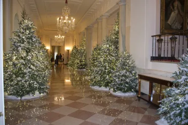Jedan od najistaknutijih elemenata bio je veliki božićni vijenac na glavnim vratima Bijele kuće, prepun zelenih grana i zlatnih ukrasa. Ukrasne božićne drveće bila su elegantno ukrašena zlatnim kuglicama, crvenim trakama i blještavim svjetlima. Melania je također stavila naglasak na obiteljski aspekt Božića, s ukrasima koji su odražavali obiteljske vrijednosti, kao i tradiciju američkih božićnih običaja.